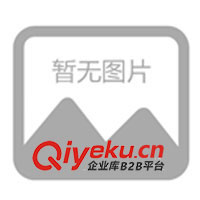 山東新宇牧業(yè)供改良育肥牛、西門塔爾牛、肉牛犢(圖)